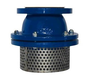 Foot Valves