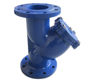 Y Strainers