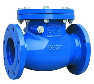 Check Valves