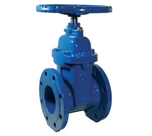 DIN3352-F4 Resilient Seat Gate Valve