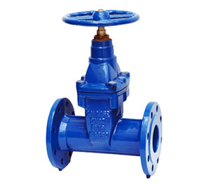 DIN3352-F5 Resilient Seat Gate Valve