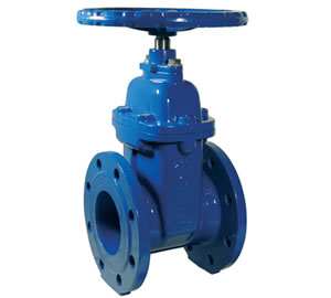 BS5163 Resilient Seat Gate Valve