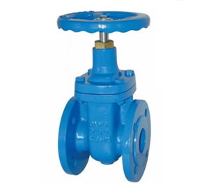 ANSI Metal Seat Gate Valve