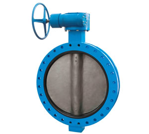 U Type Butterfly Valve