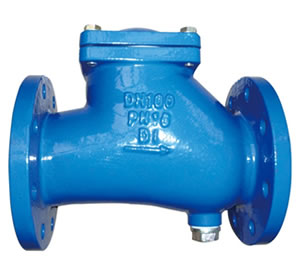 Ball Check Valve