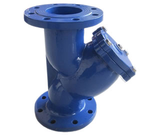 Y Strainer Flange End