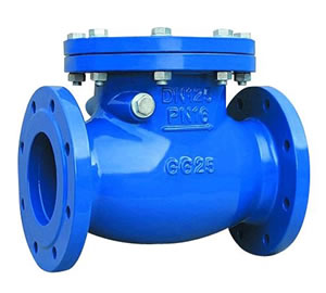 Swing Check Valve