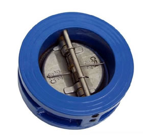 Dual Plate Check Valve