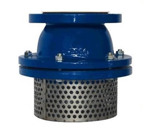 Foot Valve